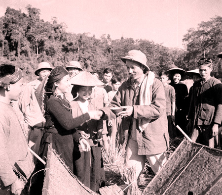 Bác Hồ đi thăm bà con nông dân tỉnh Bắc Cạn đang thu hoạch lúa mùa năm 1950.